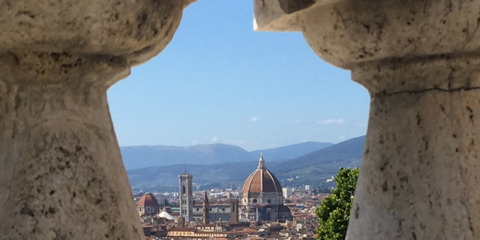 vista ruffiana per sito